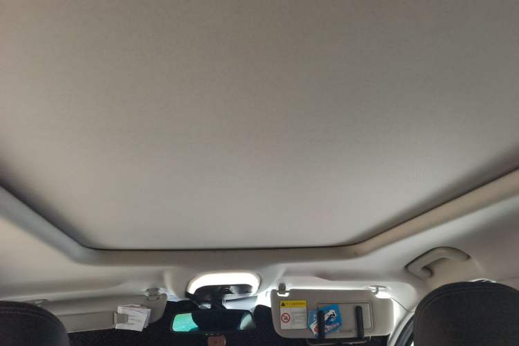 Used EXEED Lingyun 2019 1.6T Two-Wheel Drive Diamond Edition Headliner