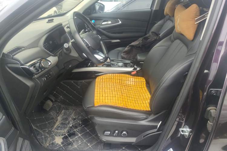 Used EXEED Lingyun 2019 1.6T Two-Wheel Drive Diamond Edition Left Front Seat