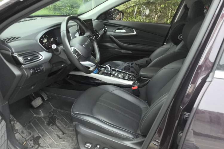 Used EXEED Lingyun 2019 1.6T Two-Wheel Drive Diamond Edition Left Front Seat