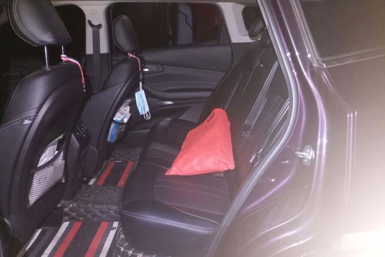 Used EXEED Lingyun 2019 1.6T Two-Wheel Drive Diamond Edition Left Rear Seat