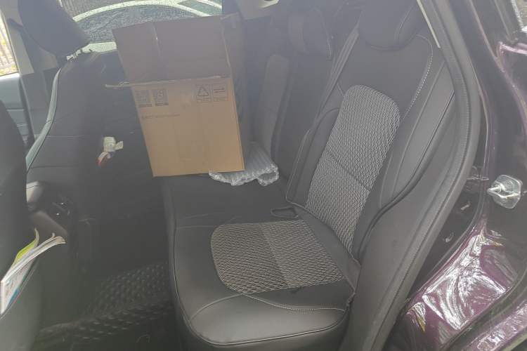 Used EXEED Lingyun 2019 1.6T Four-Wheel Drive Flagship Edition Left Rear Seat