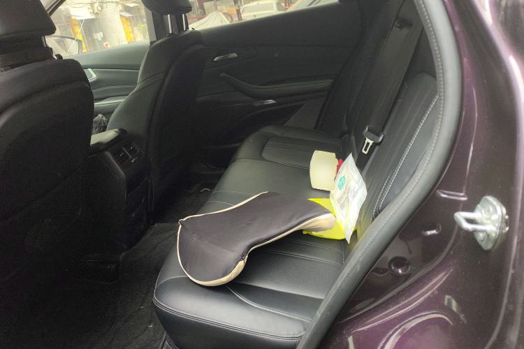 Used EXEED Lingyun 2019 1.6T Two-Wheel Drive Diamond Edition Left Rear Seat