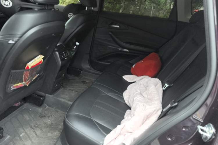 Used EXEED Lingyun 2019 1.6T Two-Wheel Drive Diamond Edition Left Rear Seat