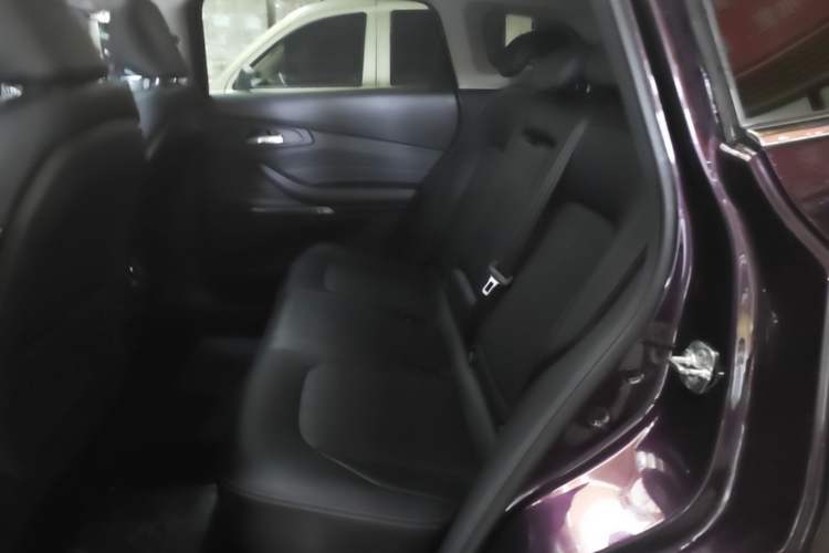 Used EXEED Lingyun 2019 1.6T Two-Wheel Drive Diamond Edition Left Rear Seat