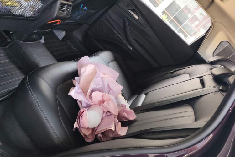 Used EXEED Lingyun 2019 1.6T Two-Wheel Drive Diamond Edition Left Rear Seat