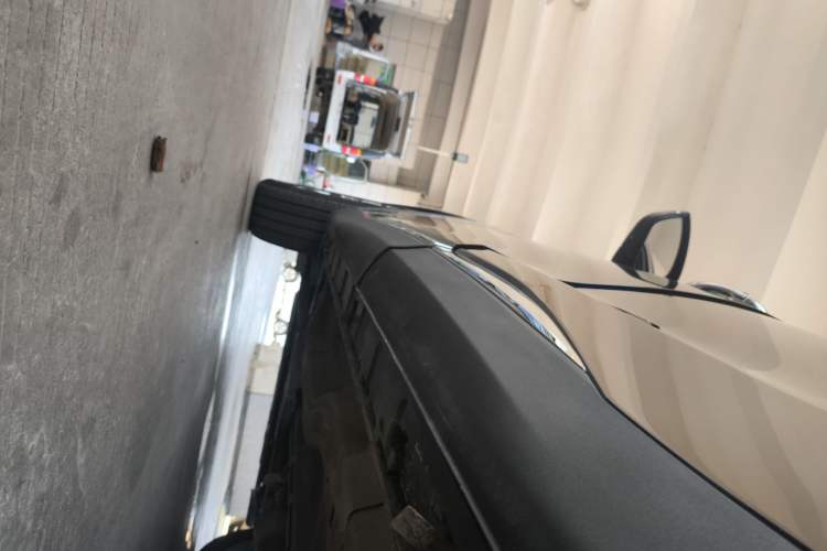 Used EXEED Lingyun 2019 1.6T Two-Wheel Drive Diamond Edition Left Side Sill