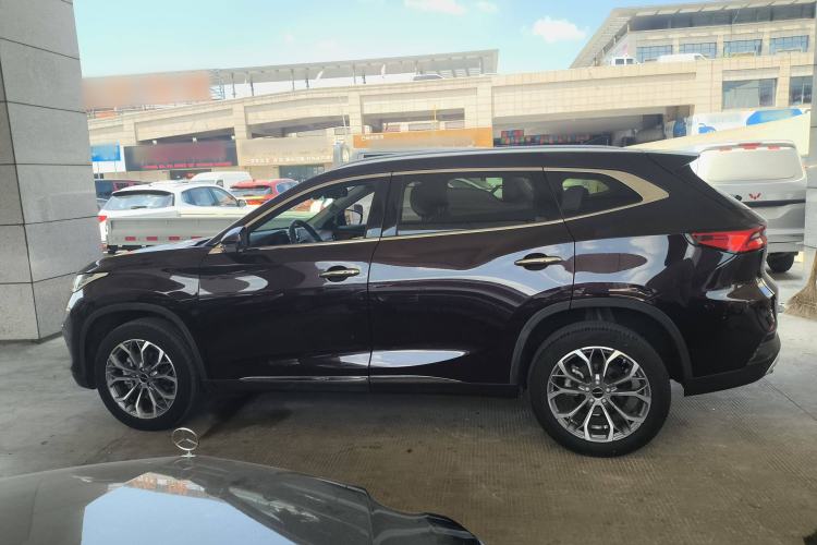 Used EXEED Lingyun 2019 1.6T Two-Wheel Drive Diamond Edition Left Side