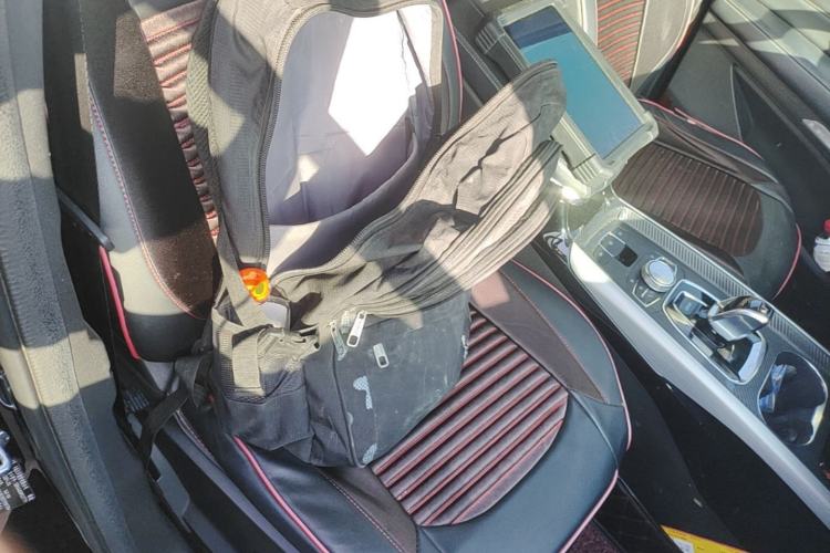 Used EXEED Lingyun 2019 1.6T Two-Wheel Drive Diamond Edition Right Front Seat