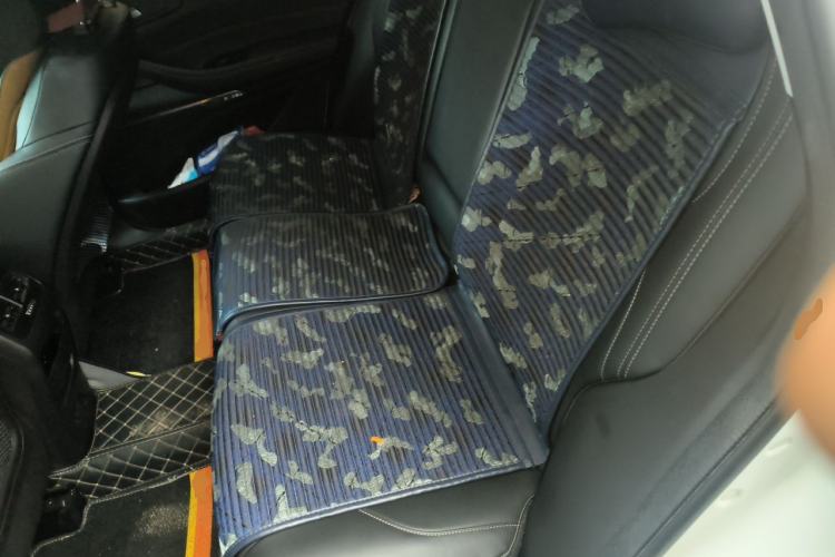 Used EXEED Lingyun 2019 1.6T Two-Wheel Drive Diamond Edition Left Rear Seat