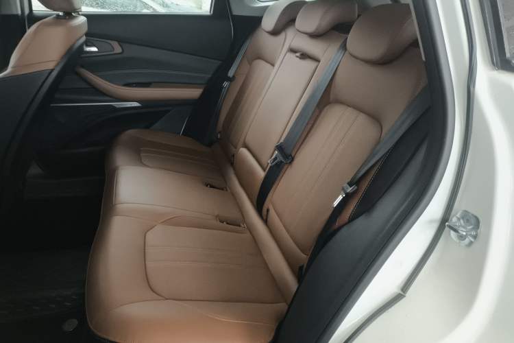 Used EXEED Lingyun 2019 1.6T Two-Wheel Drive Diamond Edition Left Rear Seat