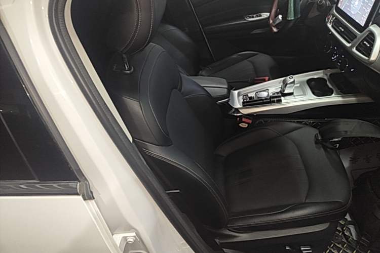 Used EXEED Lingyun 2019 1.6T Two-Wheel Drive Diamond Edition Right Front Seat