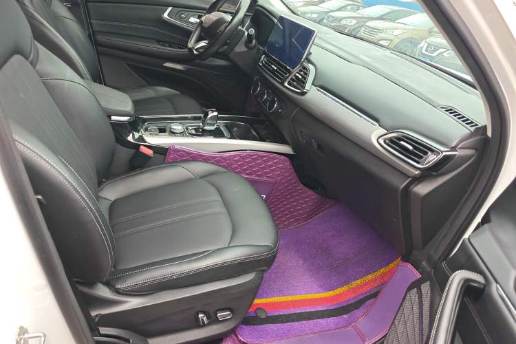 Used EXEED Lingyun 2019 1.6T Two-Wheel Drive Diamond Edition Right Front Seat