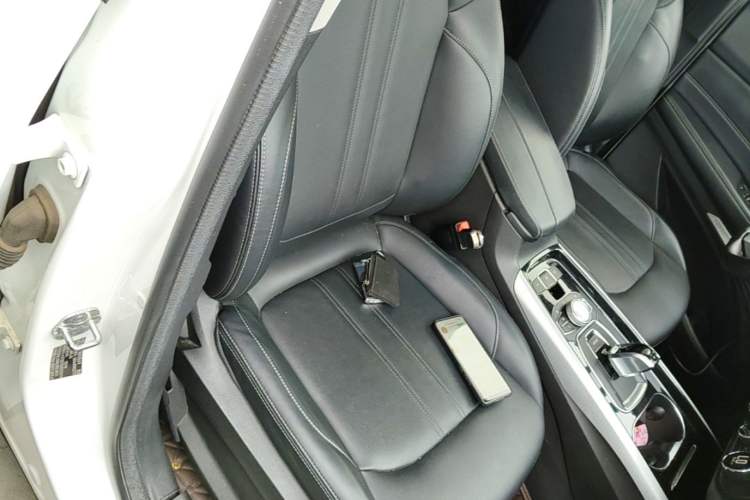 Used EXEED Lingyun 2019 1.6T Two-Wheel-Drive Platinum Edition Right Front Seat