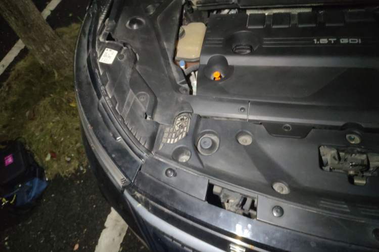 Used EXEED Lingyun 2020 1.6T Two-Wheel Drive Star Edition Engine Bay Right