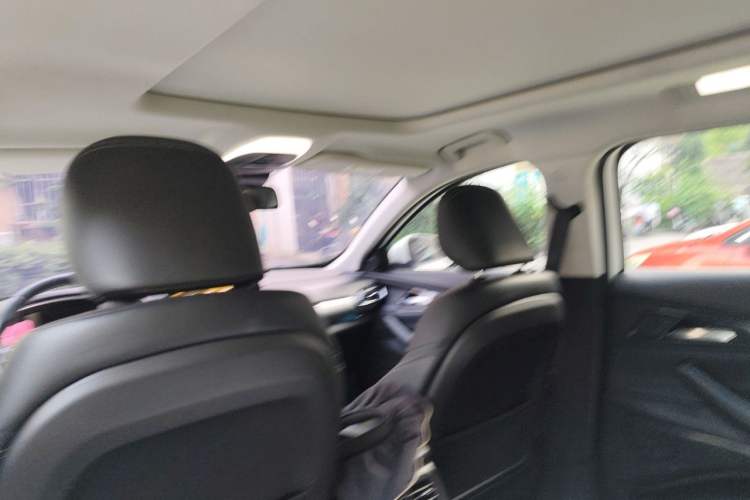 Used EXEED Lingyun 2020 1.6T Two-Wheel Drive Star Edition Headliner