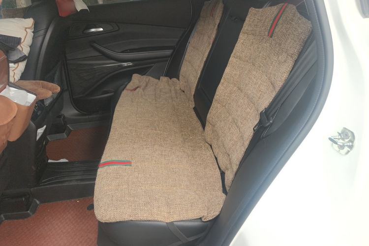 Used EXEED Lingyun 2020 1.6T Two-Wheel Drive Star Edition Left Rear Seat