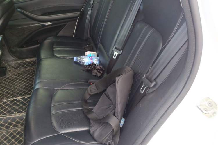 Used EXEED Lingyun 2020 1.6T Two-Wheel Drive Star Edition Left Rear Seat