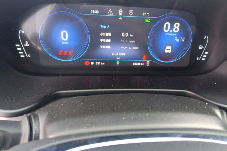 Used EXEED Lingyun 2020 1.6T Two-Wheel Drive Star Edition Odometer Close Up
