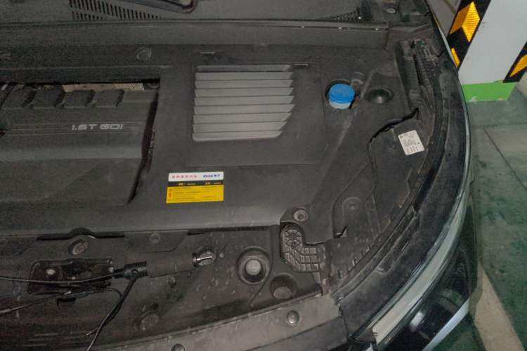 Used EXEED Lingyun 2021 290T Two-Wheel Drive Starry Edition Engine Bay Left