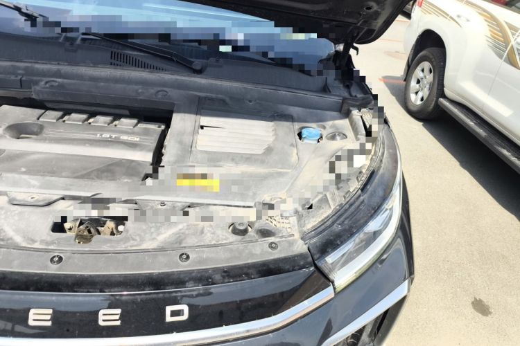 Used EXEED Lingyun 2021 290T Two-Wheel Drive Starry Edition Engine Bay Left
