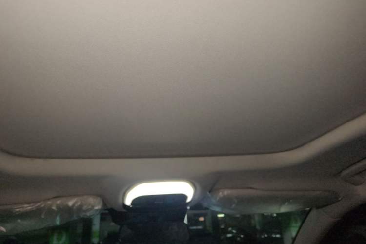Used EXEED Lingyun 2021 290T Two-Wheel Drive Starry Edition Headliner