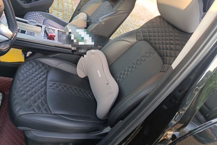 Used EXEED Lingyun 2021 290T Two-Wheel Drive Starry Edition Left Front Seat