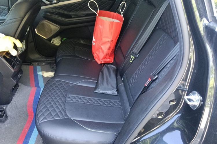 Used EXEED Lingyun 2021 290T Two-Wheel Drive Starry Edition Left Rear Seat