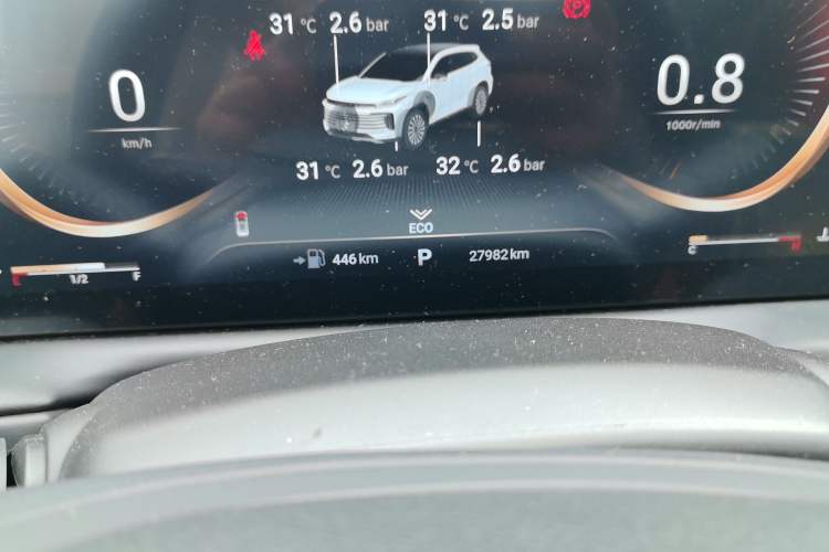 Used EXEED Lingyun 2021 290T Two-Wheel Drive Star Edition Odometer Close Up