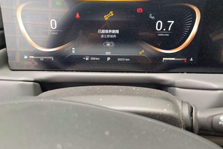 Used EXEED Lingyun 2021 290T Two-Wheel Drive Starry Edition Odometer Close Up