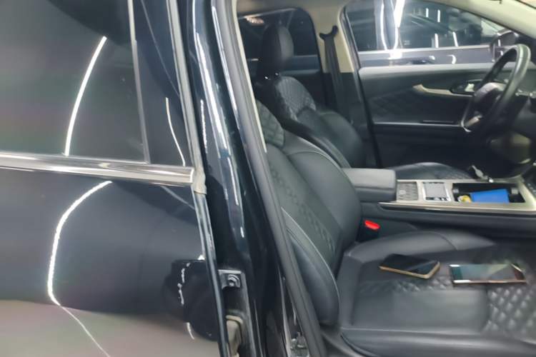 Used EXEED Lingyun 2021 290T Two-Wheel Drive Starry Edition Right Front Seat