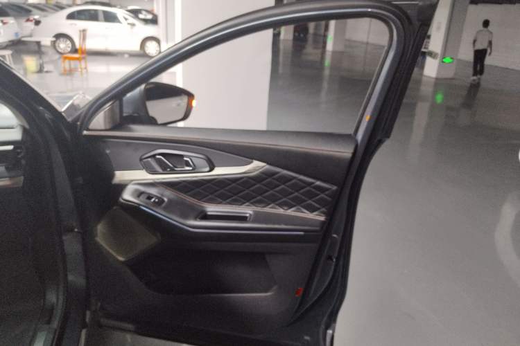 Used EXEED Lingyun 2021 290T Two-Wheel Drive StarRui Edition Right Front Door Interior