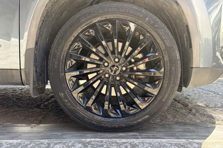 Used EXEED Lingyun 2021 290T Two-Wheel Drive Starry Edition Exterior 9