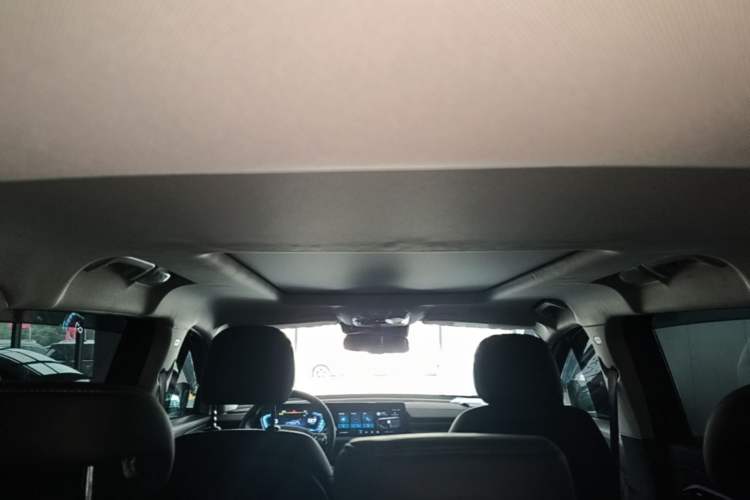 Used EXEED Lingyun 2021 290T Four-Wheel Drive Star Prestige Edition Headliner
