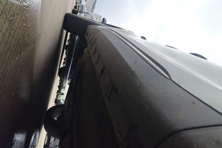 Used EXEED Lingyun 2021 290T Two-Wheel Drive StarRui Edition Right Side Sill