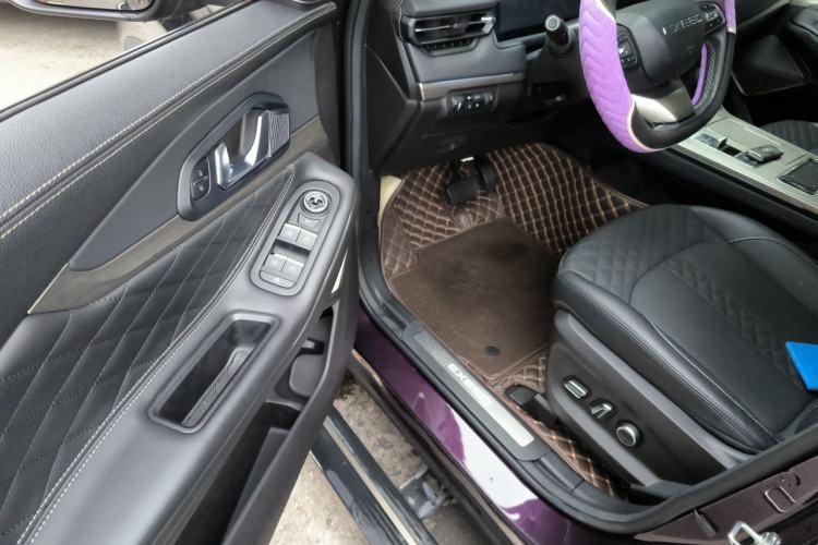 Used EXEED Lingyun 2021 290T Two-Wheel Drive Starry Edition Driver Seat
