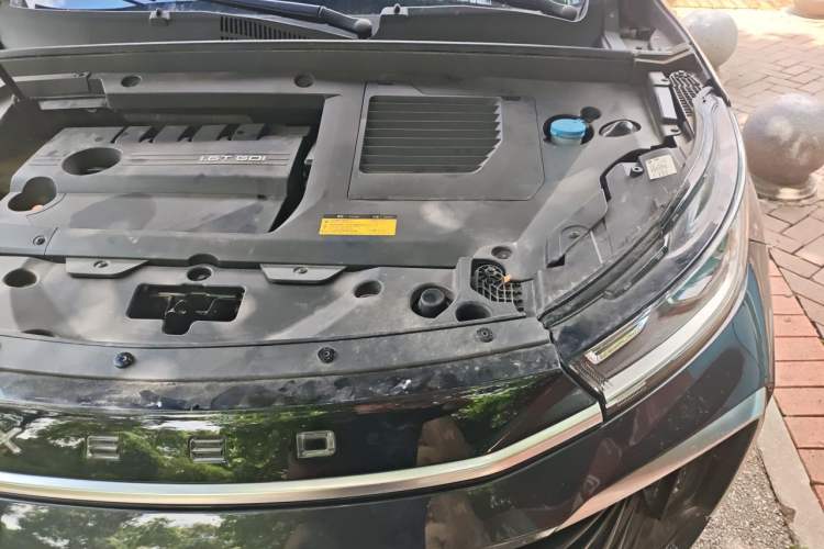 Used EXEED Lingyun 2021 290T Two-Wheel Drive Starry Edition Engine Bay Left