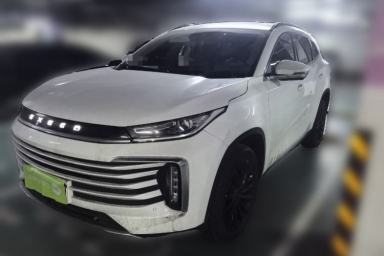 Used EXEED Lingyun 2021 290T Two-Wheel Drive Starry Edition