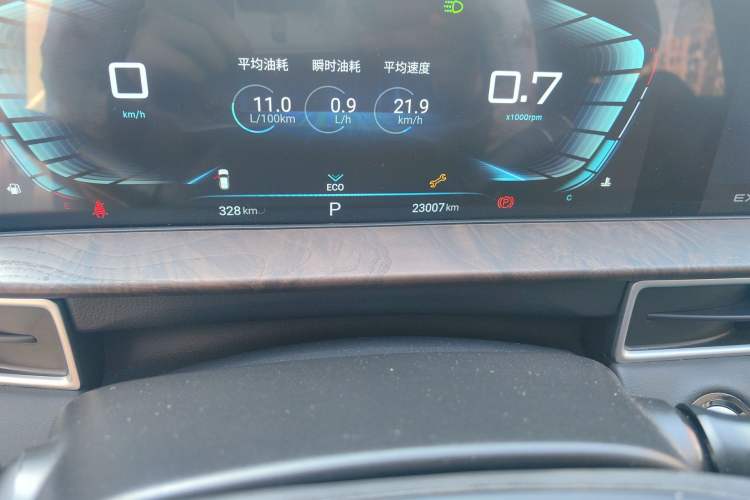 Used EXEED Lingyun 2021 290T Two-Wheel Drive Star-Style Version Odometer Close Up