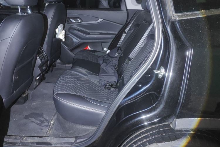 Used EXEED Lingyun 2023 400T Two-Wheel-Drive Star Prestige Edition Left Rear Seat