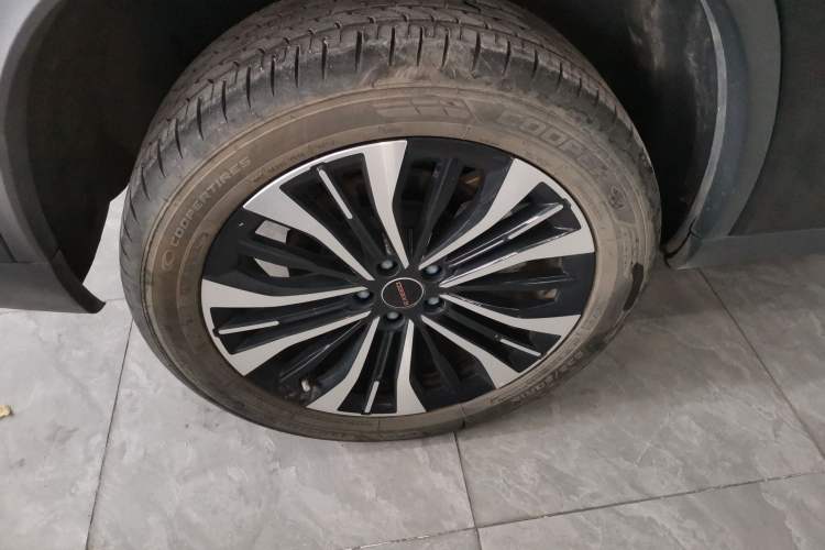 Used EXEED Lingyun 2024 300T Two-Wheel Drive Starlight Edition Exterior 5