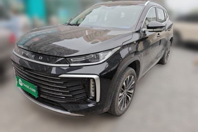 Used EXEED Lingyun 2024 300T Two-Wheel Drive Starlight Edition