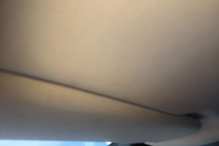 Used EXEED Lingyun 2024 300T Two-Wheel Drive Star Edition Headliner