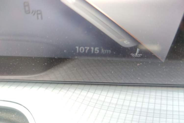 Used EXEED Lingyun 2024 300T Two-Wheel Drive Starlight Edition Odometer Close Up