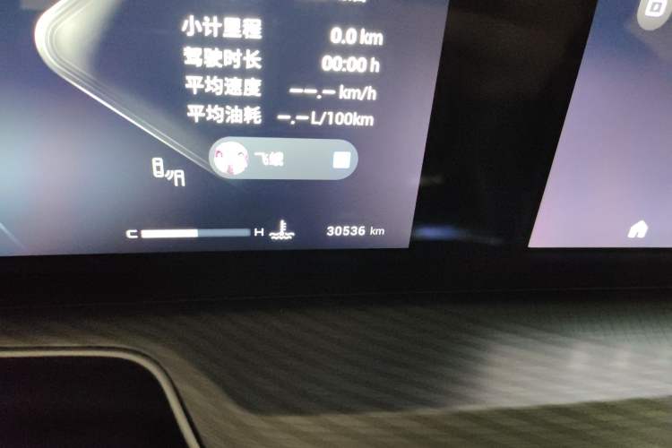 Used EXEED Lingyun 2024 300T Two-Wheel Drive Starlight Edition Odometer Close Up