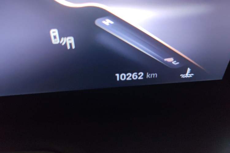 Used EXEED Lingyun 2024 300T Two-Wheel Drive Starlight Edition Odometer Close Up