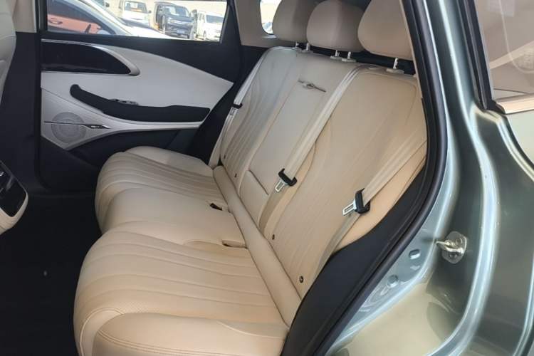 Used EXEED Lingyun 2024 300T Two-Wheel Drive Starlight Edition Left Rear Seat