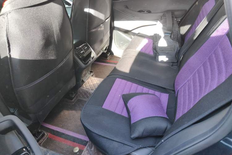 Used EXEED Lingyun 2024 300T Two-Wheel Drive Starlight Edition Left Rear Seat