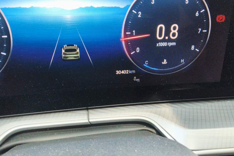 Used EXEED Lingyun 2024 300T Two-Wheel Drive Starlight Edition Odometer Close Up