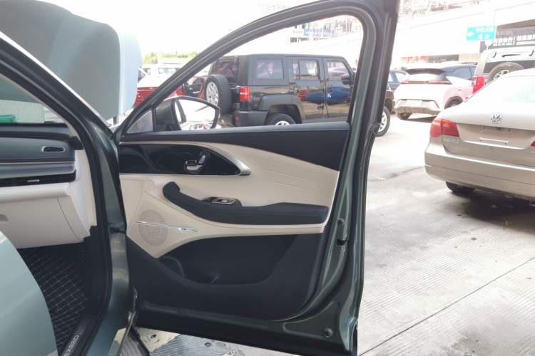 Used EXEED Lingyun 2024 300T Two-Wheel Drive Starlight Edition Right Front Door Interior
