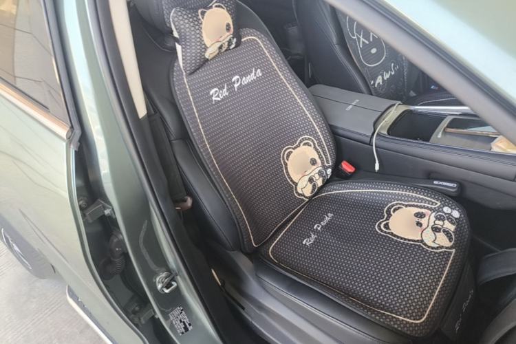 Used EXEED Lingyun 2024 400T Two-Wheel-Drive Star Prestige Edition Right Front Seat